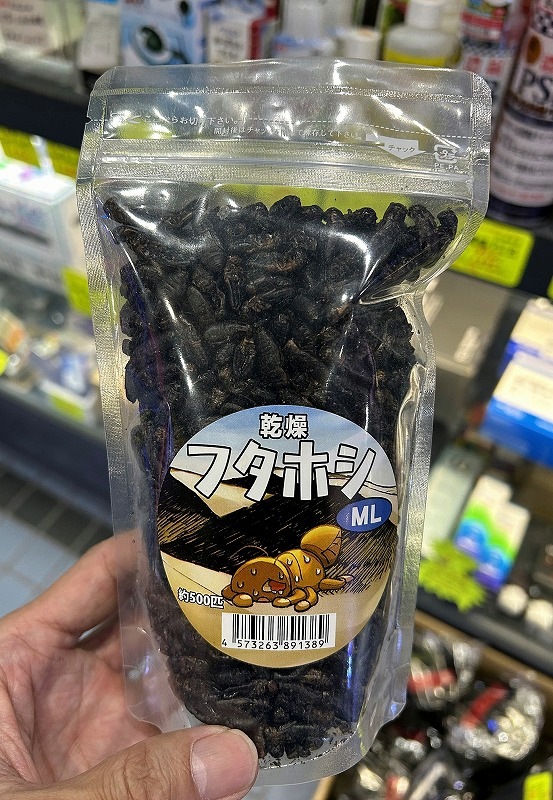 祳ʳƼ