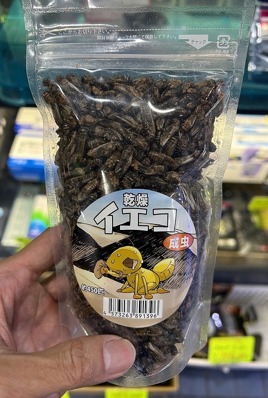 祳ʳƼ