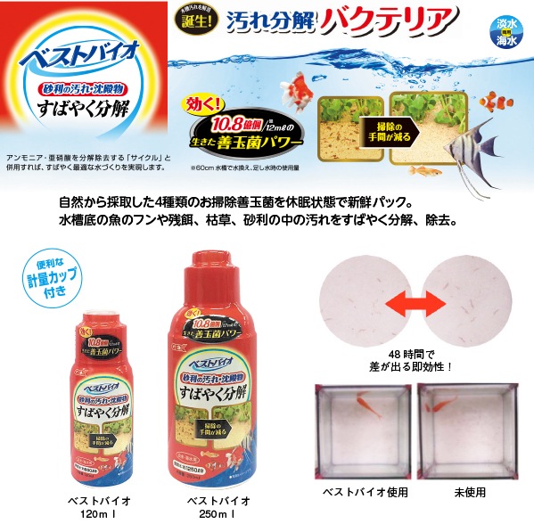 �٥��ȥХ��� 250ml