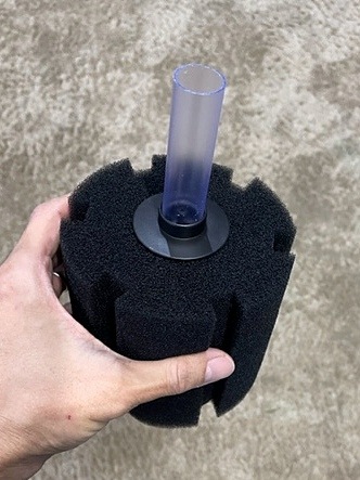 �֤������ݥ󥸥ե��륿���ʣ̥�������Ȣ̵���ò�