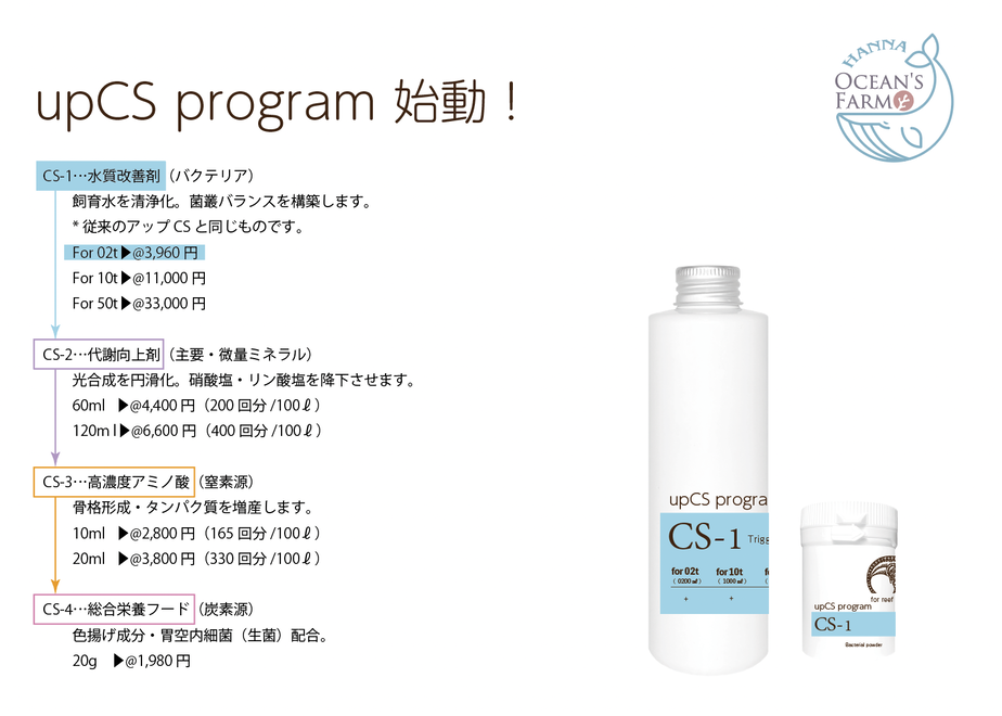 ���å�CS�ץ������ �������� 2t��