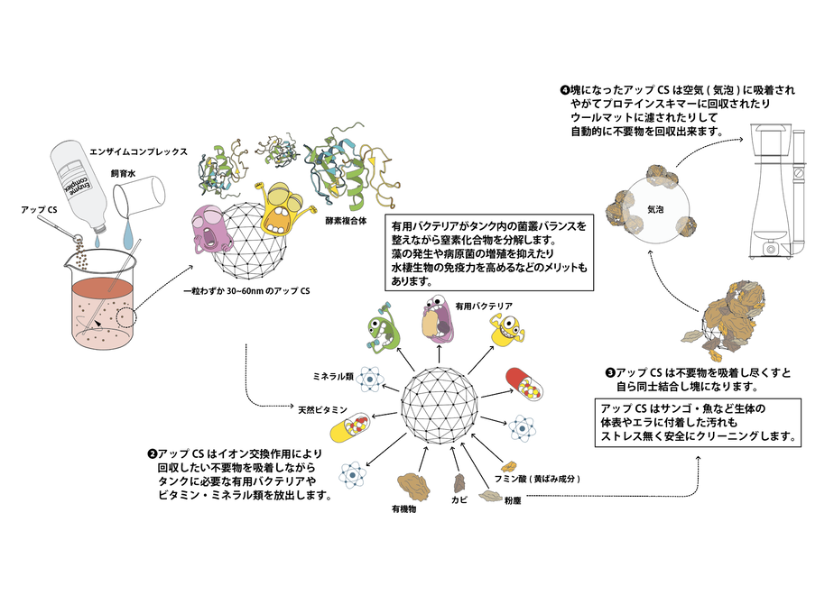 ���å�CS�ץ������ �������� 2t��