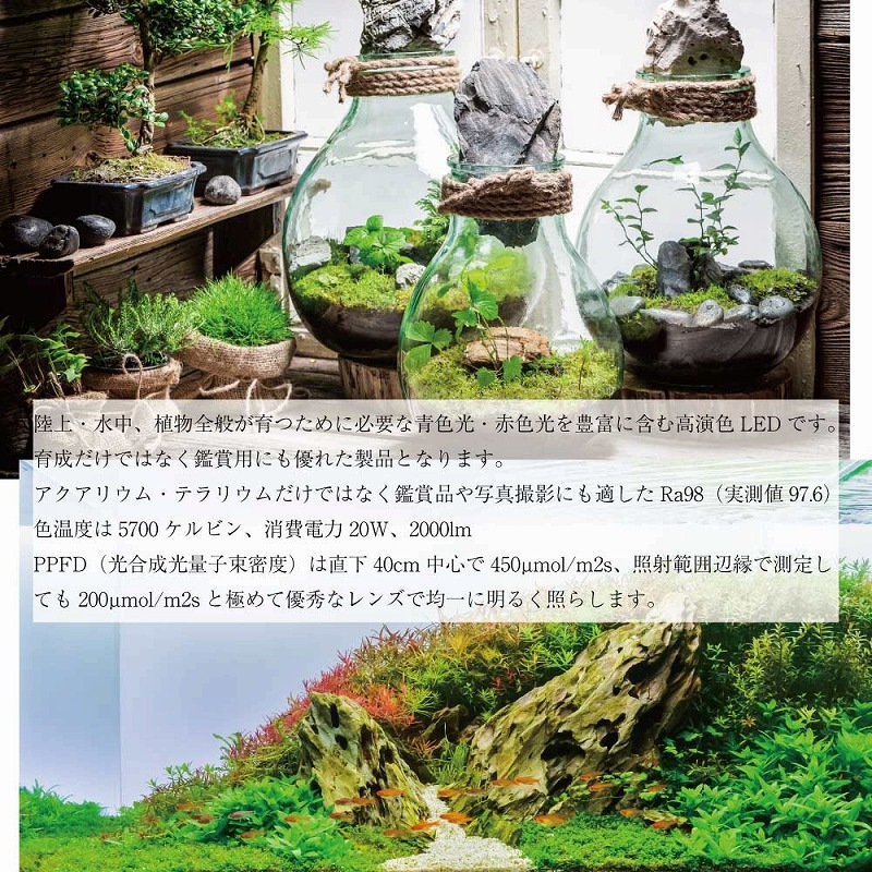 ���۸��˶᤯�ʤä�LED�ʴ��տ�ʪ�������ѡ�20W �������ò�