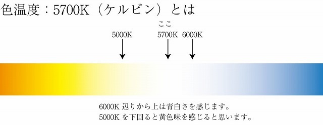 ���۸��˶᤯�ʤä�LED�ʴ��տ�ʪ�������ѡ�20W �������ò�