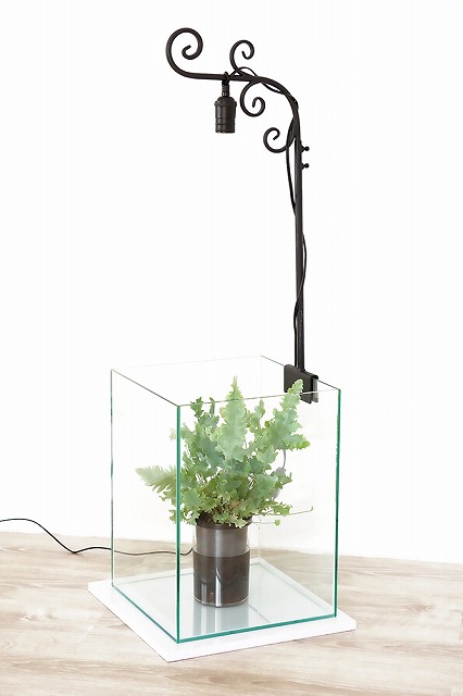 ���۸��˶᤯�ʤä�LED�ʴ��տ�ʪ�������ѡ�20W �������ò�