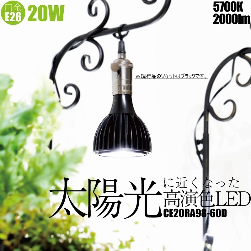 ���۸��˶᤯�ʤä�LED�ʴ��տ�ʪ�������ѡ�20W �������ò�