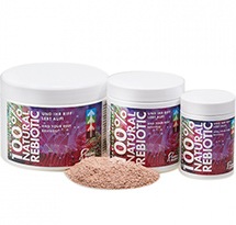 ReBiotic100 󥴸ХƥꥢʥХ󥹲