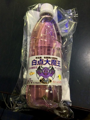 �������Ⲧ��ʣ���°�������500���졡������ͥ����Ƽ������