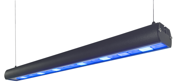 �����ƥ��˥å����㥤�ʡ�600