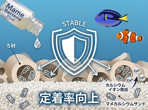 �ޥ�Х��ƥꥢ �ץ饹�ʳ����ѡ�