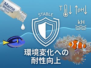 �ޥ�Х��ƥꥢ �ץ饹�ʳ����ѡ�