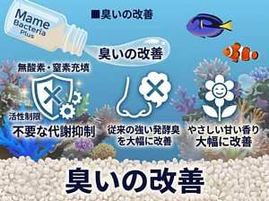 �ޥ�Х��ƥꥢ �ץ饹�ʳ����ѡ�