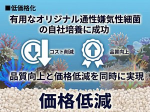 �ޥ�Х��ƥꥢ �ץ饹�ʳ����ѡ�