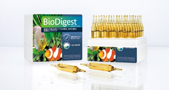 �Х���������������