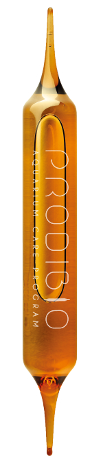 �Х���������������