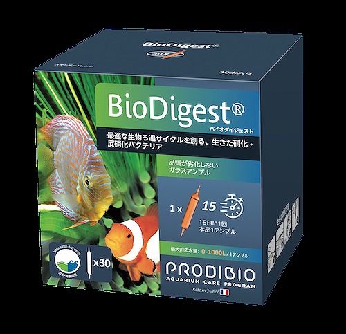 �Х���������������