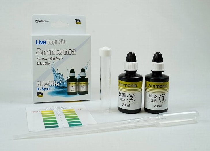 �����˥��������å�