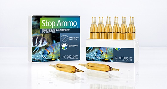 ���ȥåץ����ʥ����˥�����ޡ�