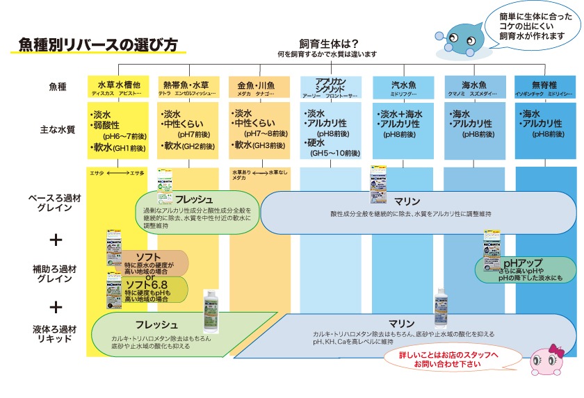 ��С����ꥭ�åɡ��ޥ��