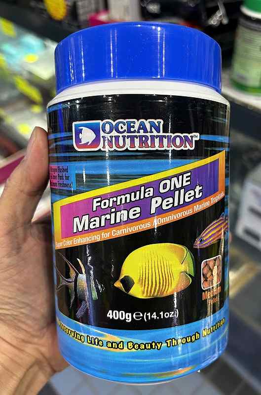 �ե����ߥ�顼�ޥ��ڥ�å� 400g��200g��2�����ˢ���߸�