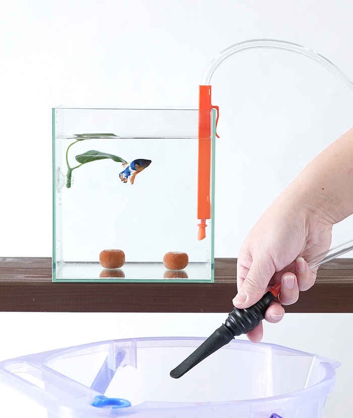 �����å����ؤ��ݥ�� �ߥˡ����٥�����ˡ�