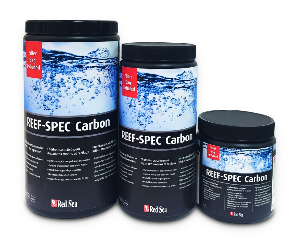 REEF-SPEC�����ܥ�
