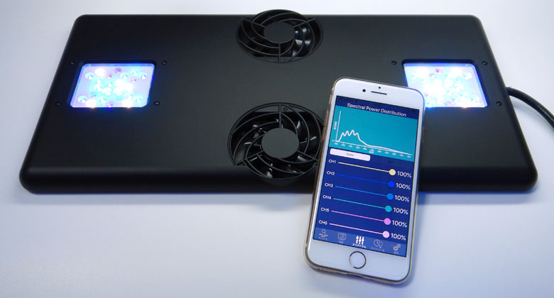 �ǣ����� ������ 120 �������