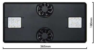 �ǣ����� ������ 120 �������