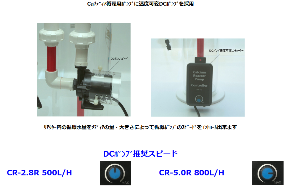 PRS CO2�ꥵ������ Ca�ꥢ������ �������