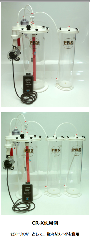 PRS CO2�ꥵ������ Ca�ꥢ������ �������