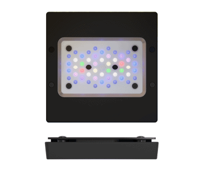 RadionG6 XR15 ����߸���