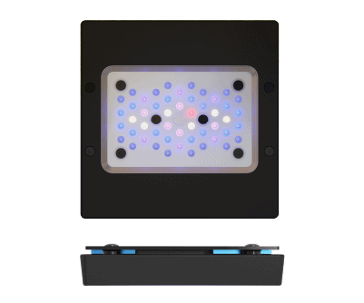 RadionG6 XR15 ����߸���