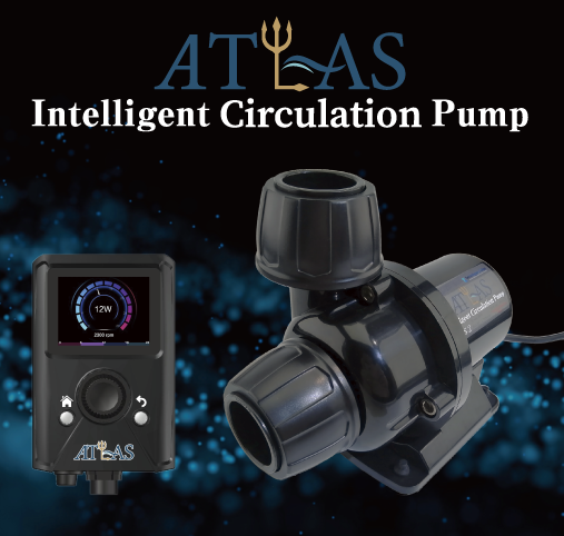 ATLAS�ʥ��ȥ饹�ˡ��������