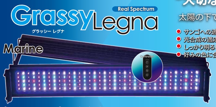 GrassyLegna �ޥ��ʳ�������ˢ������ȥ�å���