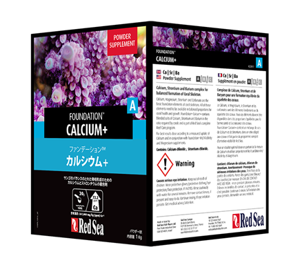 �꡼�եե���ǡ��������ʣã�/�ӣ��