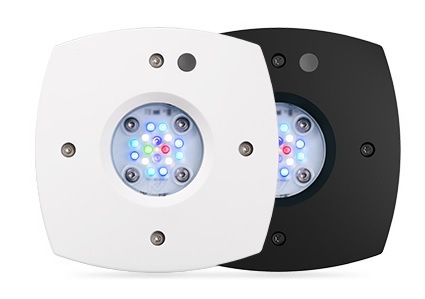 Prime�ʥץ饤���16HD �������