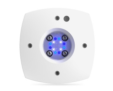 Prime�ʥץ饤���16 Sol �������