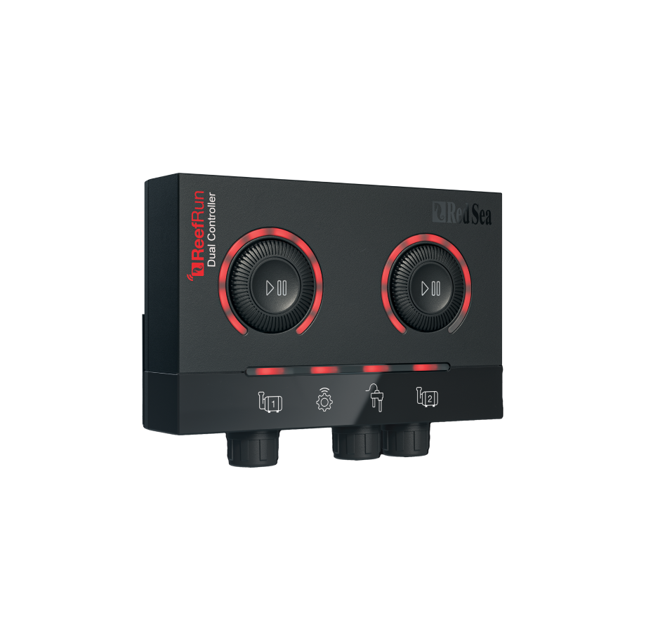 ReefRUN DC�ݥ�� �����̸���������