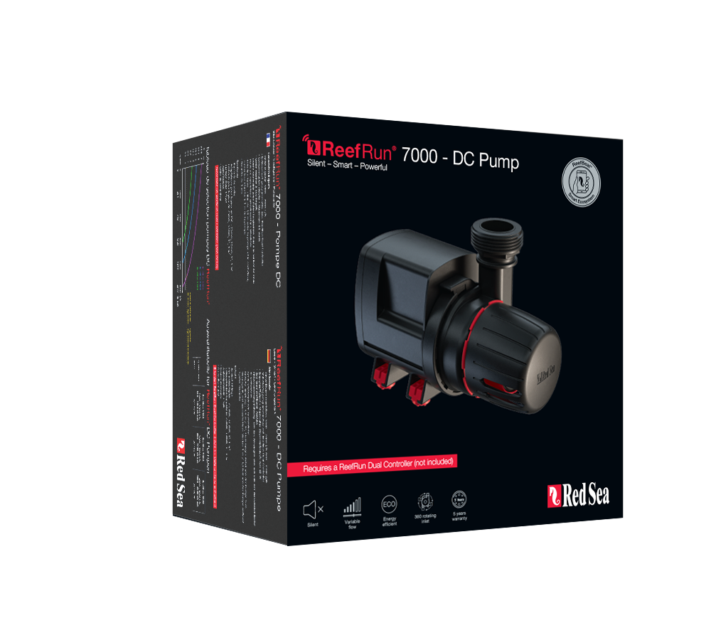 ReefRUN DC�ݥ�� �����̸���������