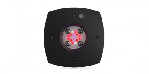 Prime�ʥץ饤���16 Fuge��BK��  �������