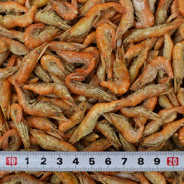 ���󥷥�80g 30�ĥ��åȡʴ�����ˢ����̸���