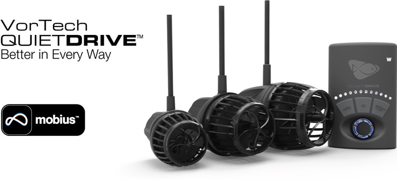 MP-10/40/60 mQD �����ץ������ �������