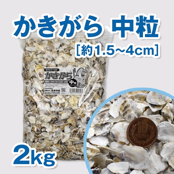 ��������ʴѾ޵��ѡ�2kg �Ǝ�������