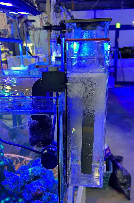 ������ ��-���� �����ݤ������ޡ�