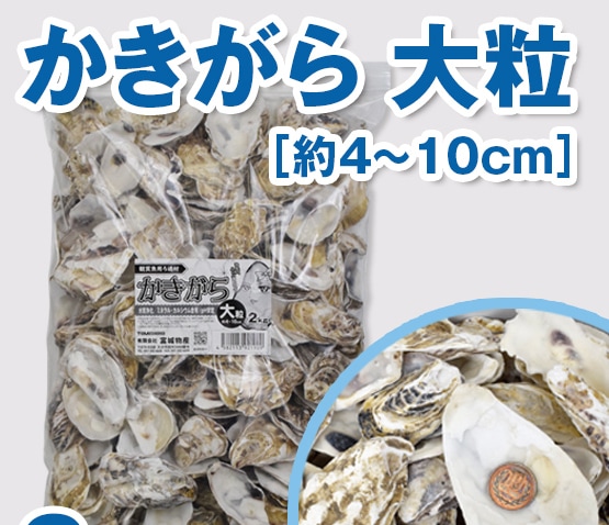 ��������ʴѾ޵��ѡ�20kg Ȣ��� ��γ/��γ�ʴ��ָ������̲��ʡ�
