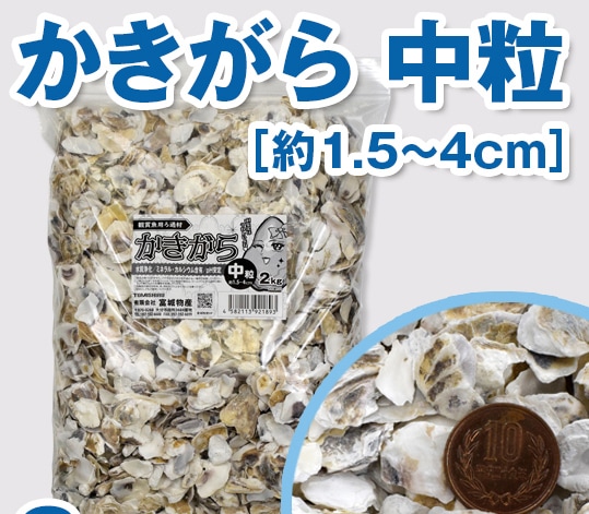 ��������ʴѾ޵��ѡ�20kg Ȣ��� ��γ/��γ�ʴ��ָ������̲��ʡ�