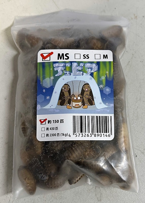 冷凍デュビア Amazon | 【邑楽ファーム・クール便発送】冷凍デュビア 成虫