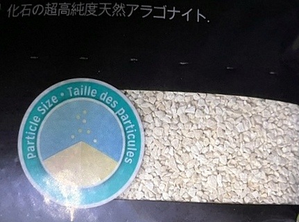 �ѥ쥪����� 5kg�ʹ��ʼ����饴�ʥ��ȥ���ɡ�