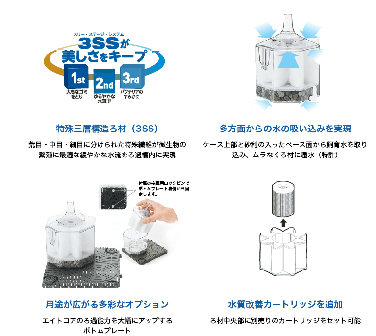 ������ ����