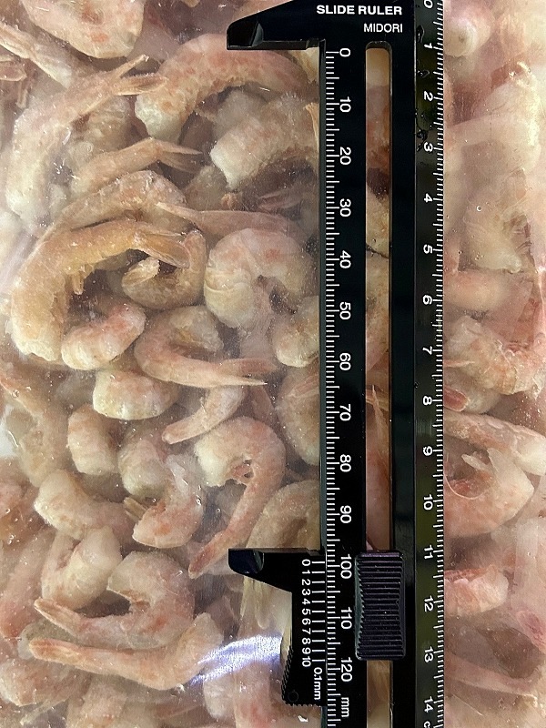 ŷ̵ƬӡʥХ顦ա500g ߸